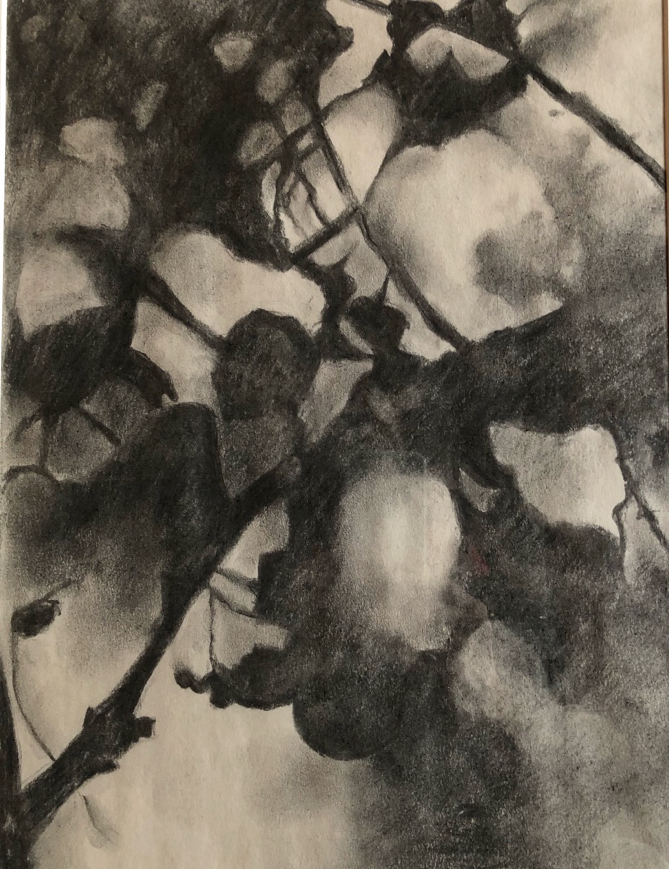 Garden Abstraction by Denise Fabrizio