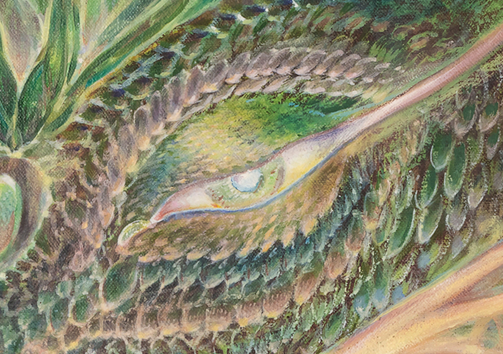 Screen Shot 2026-04-06 at 2.04.58 PM.png