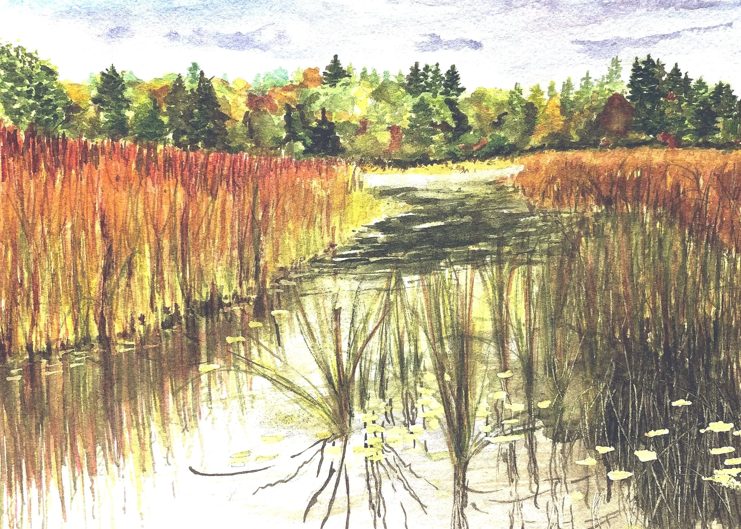 Mendon+Ponds+Watercolor+11x14a.jpg