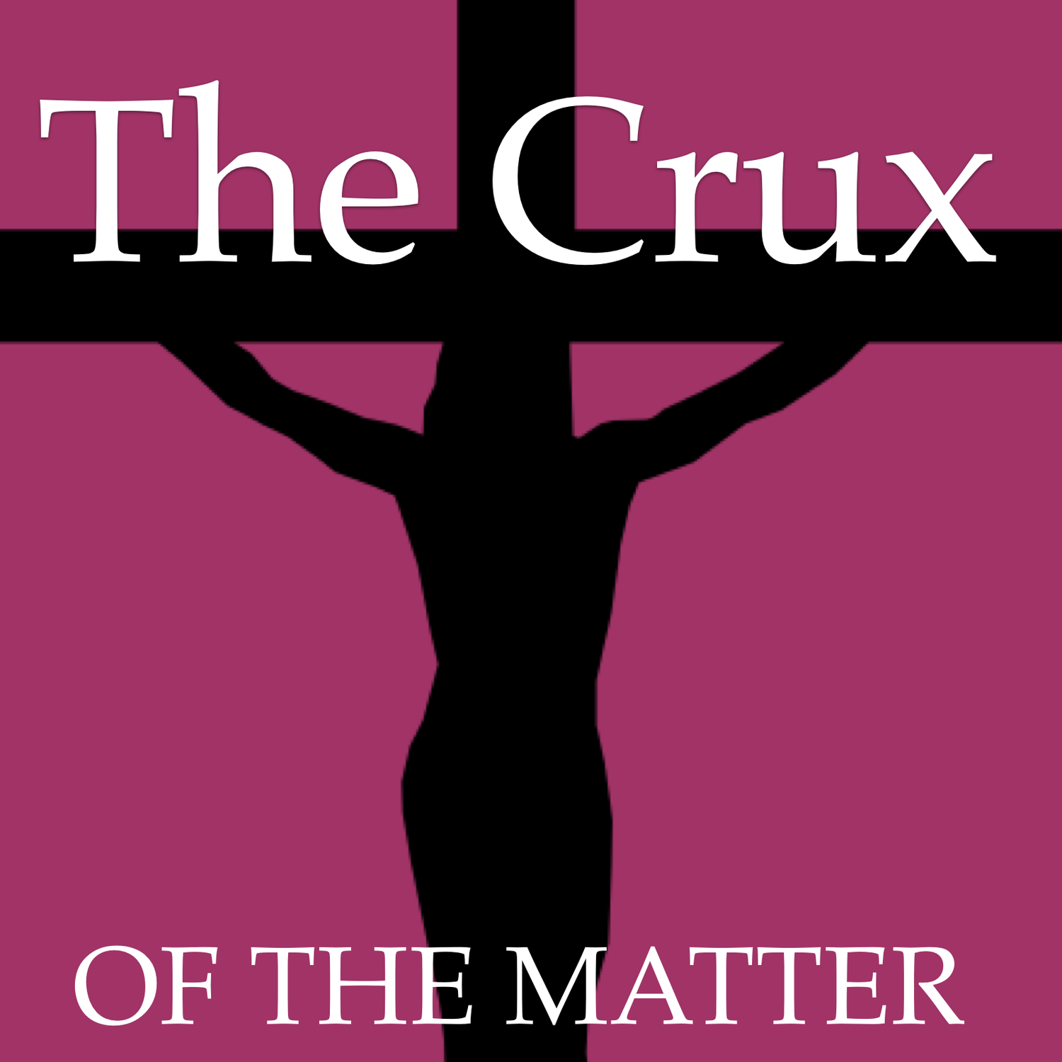 CRUX Episode 01 - The Theology of Interruptions episode artwork