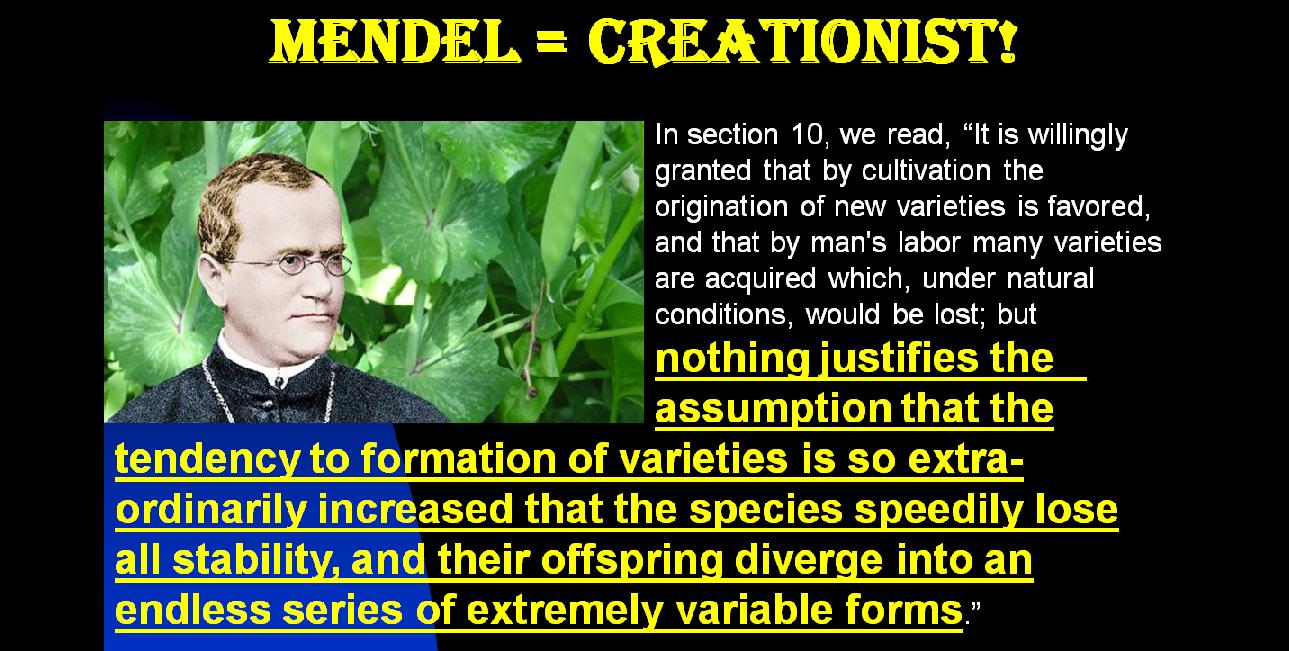 Many evolutionists say Gregor Mendel, the Founder of Genetic Science, was an evolutionist, but they are very wrong. In this video, I quote from Mendel himself. Not only was he a creationist, but he was/is a true Christian. I even quote from two of his sermons as well as from his seminal scientific paper. Click the link below. https://www.youtube.com/watch?v=qlU6mTH4Tb0