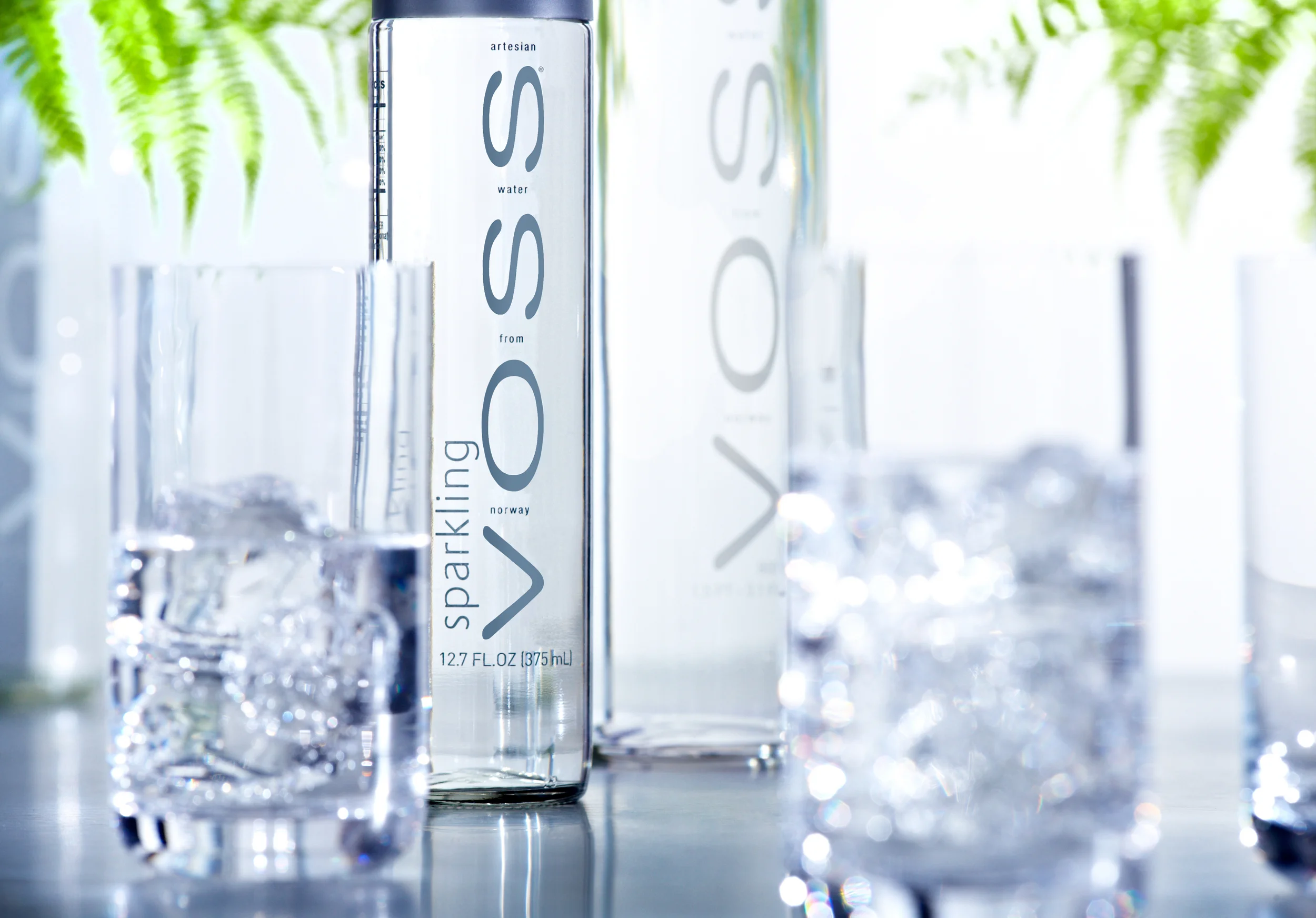 Voss.jpeg