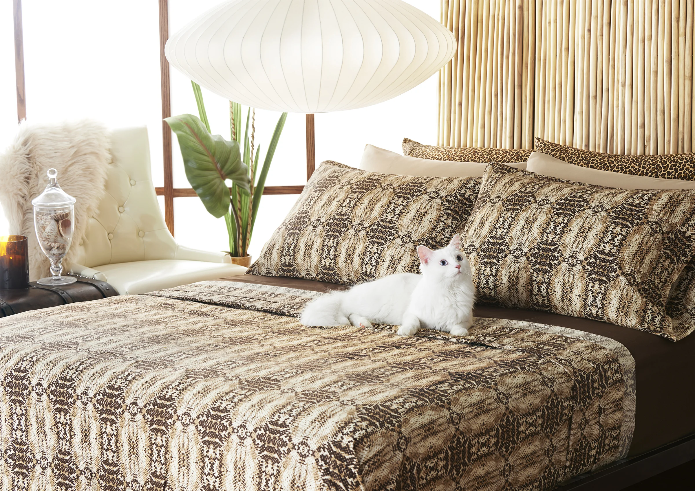 catsheets.jpg