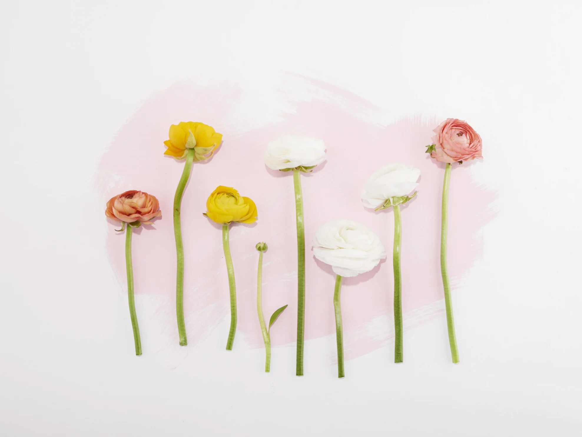 Spring 2017 Slates72417.jpg