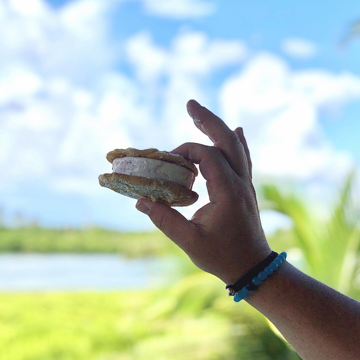 hey, it&rsquo;s #nationalicecreamday! 🍨making it count with homemade ice cream sandwiches. 

meyer lemon cookie. white chocolate raspberry truffle ice cream.