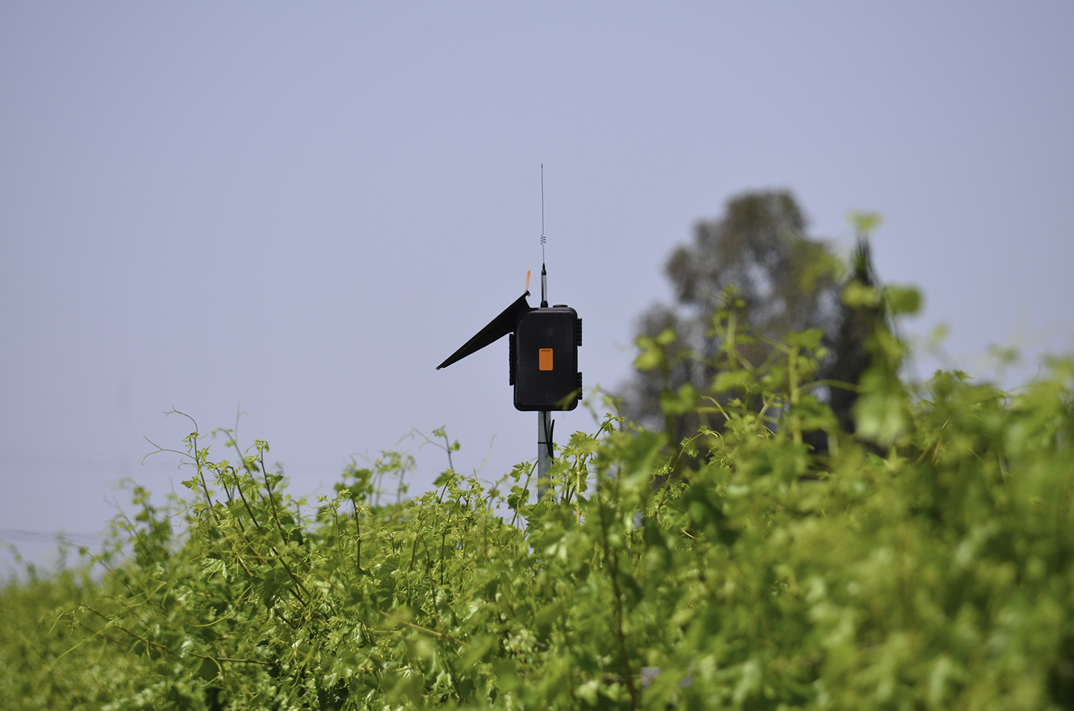 Respond to Growing Conditions Use our weather station solution to monitor and record rainfall, wind speed/direction, relative humidity, solar radiation, air temperature and evapotranspiration and build the information you require to make informed decisions. 