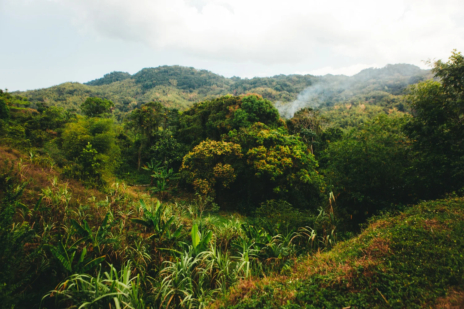 Jamaica-78.jpg