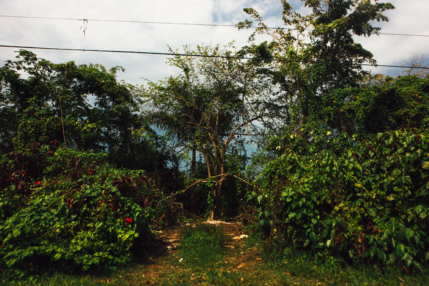 Jamaica-86.jpg