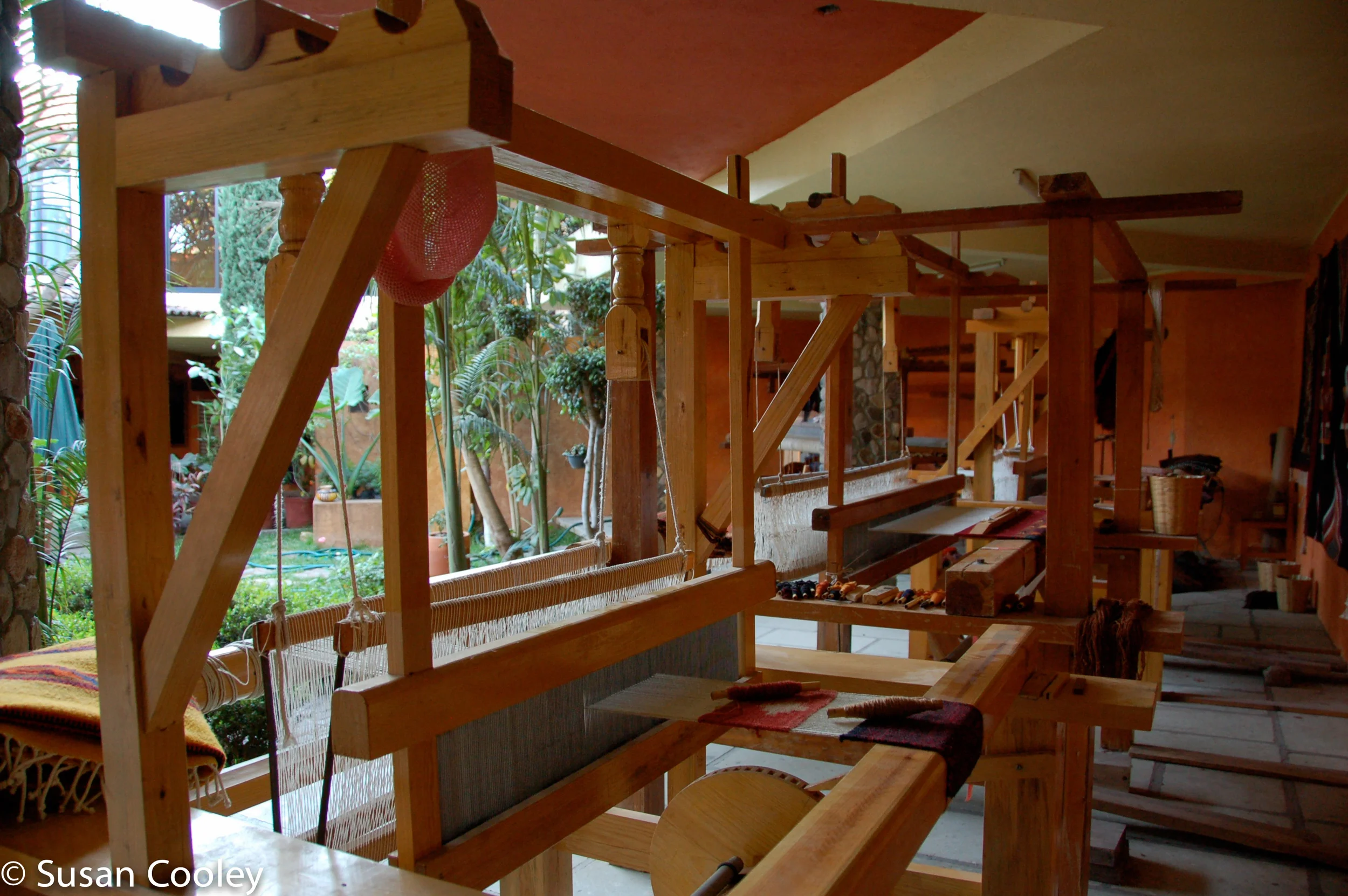 2008.01_OaxacaSCK297.jpg