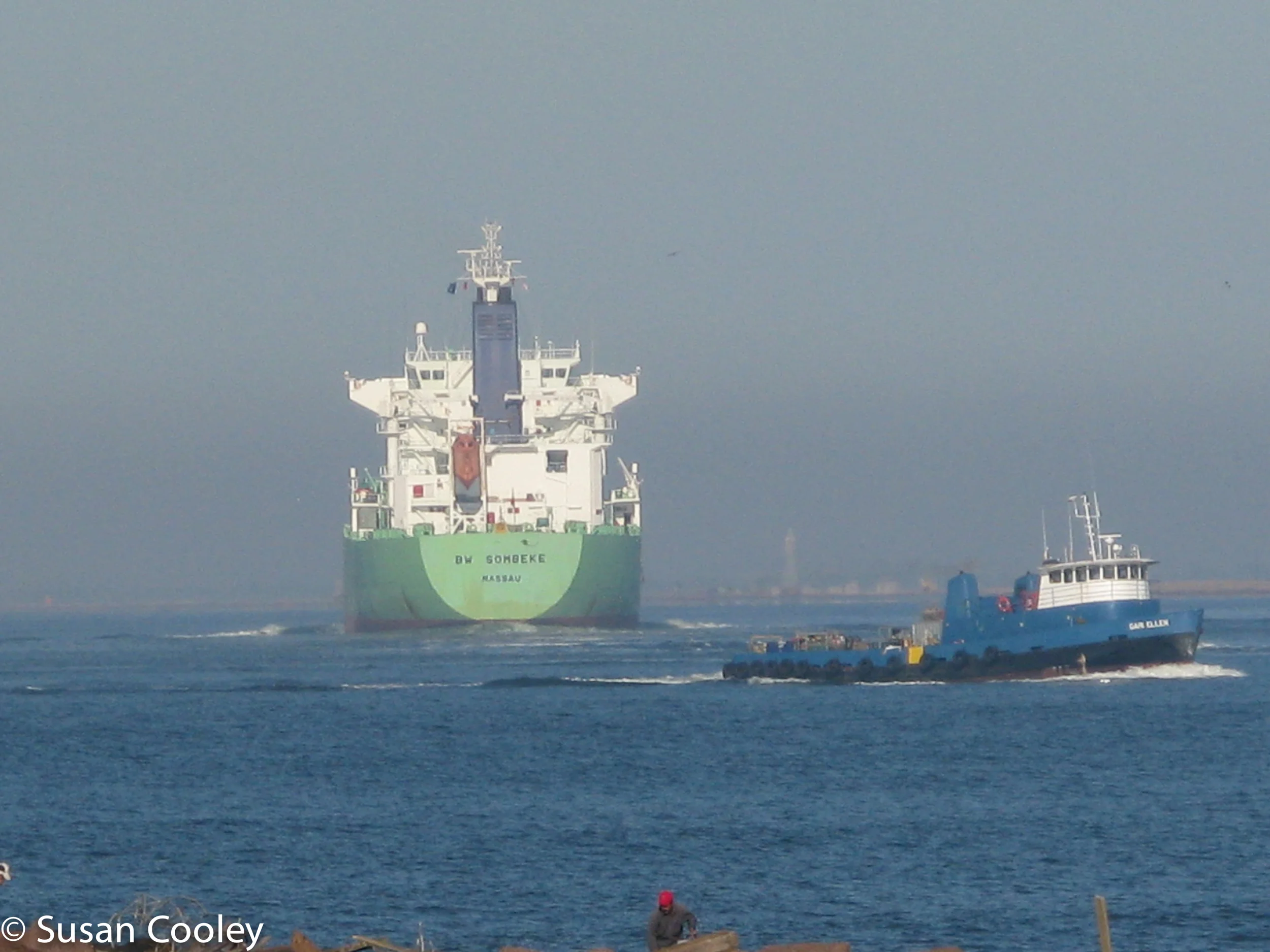 2008_ships__ship_Channel_Galveston019.jpg