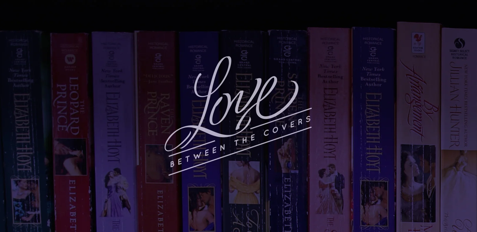 Bookspines-cropped-LOGO_02.jpg