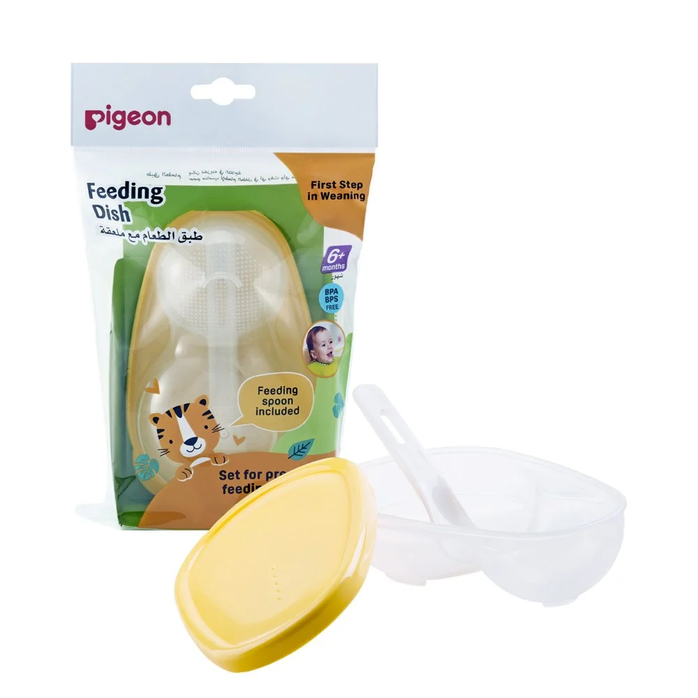 Pigeon Feeding Dish