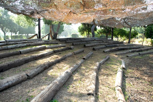 Amphitheater @ Angelus Mountain Center