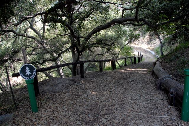 Path @ Angelus Mountain Center