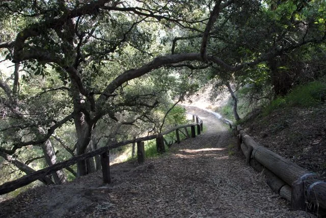 Path @ Angelus Mountain Center