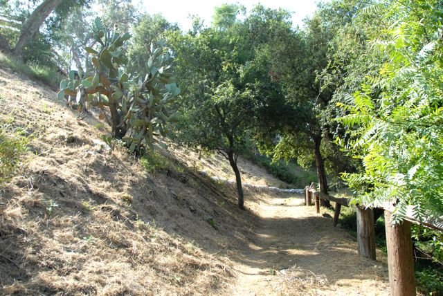 Path @ Angelus Mountain Center