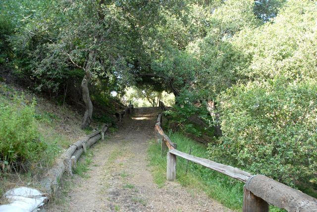 Path @ Angelus Mountain Center