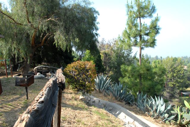 Angelus Mountain Center