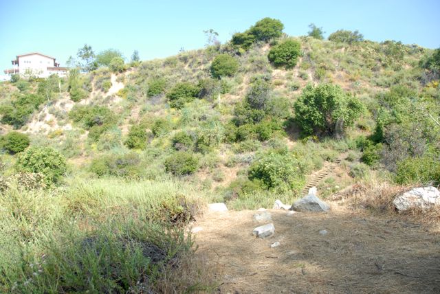 Angelus Mountain Center