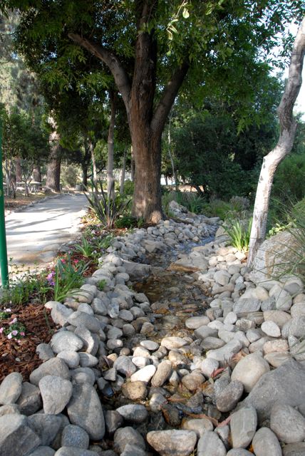 Angelus Mountain Center