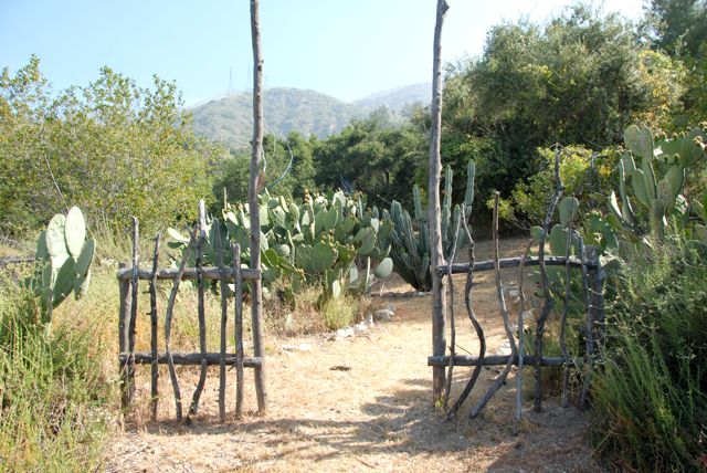 Angelus Mountain Center