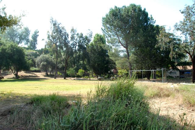 Angelus Mountain Center