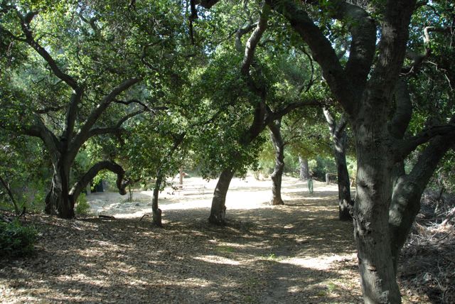 Angelus Mountain Center