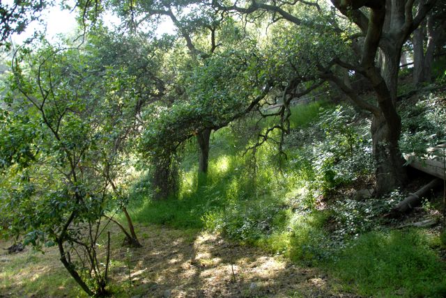 Angelus Mountain Center
