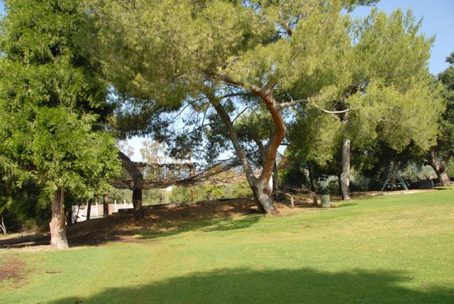 Field @ Angelus Mountain Center