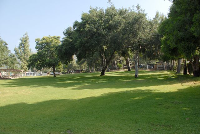 Field @ Angelus Mountain Center