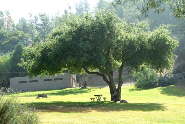 Field @ Angelus Mountain Center