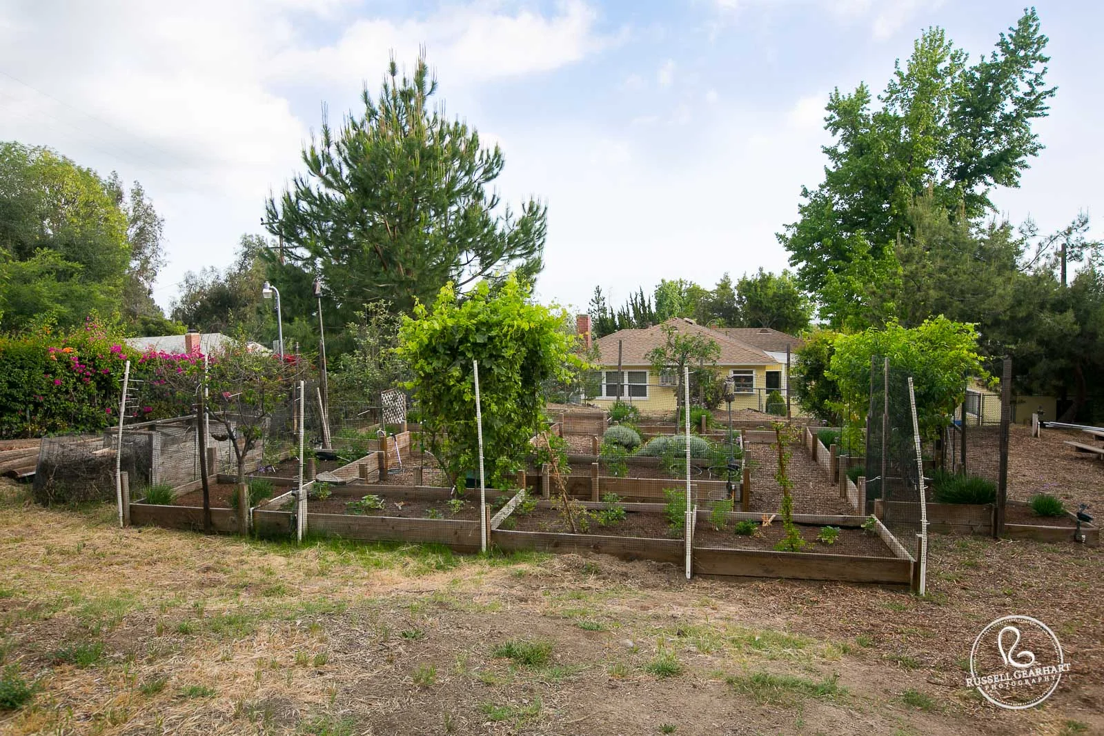 Garden @ Angelus Mountain Center © Russell Gearhart Photography