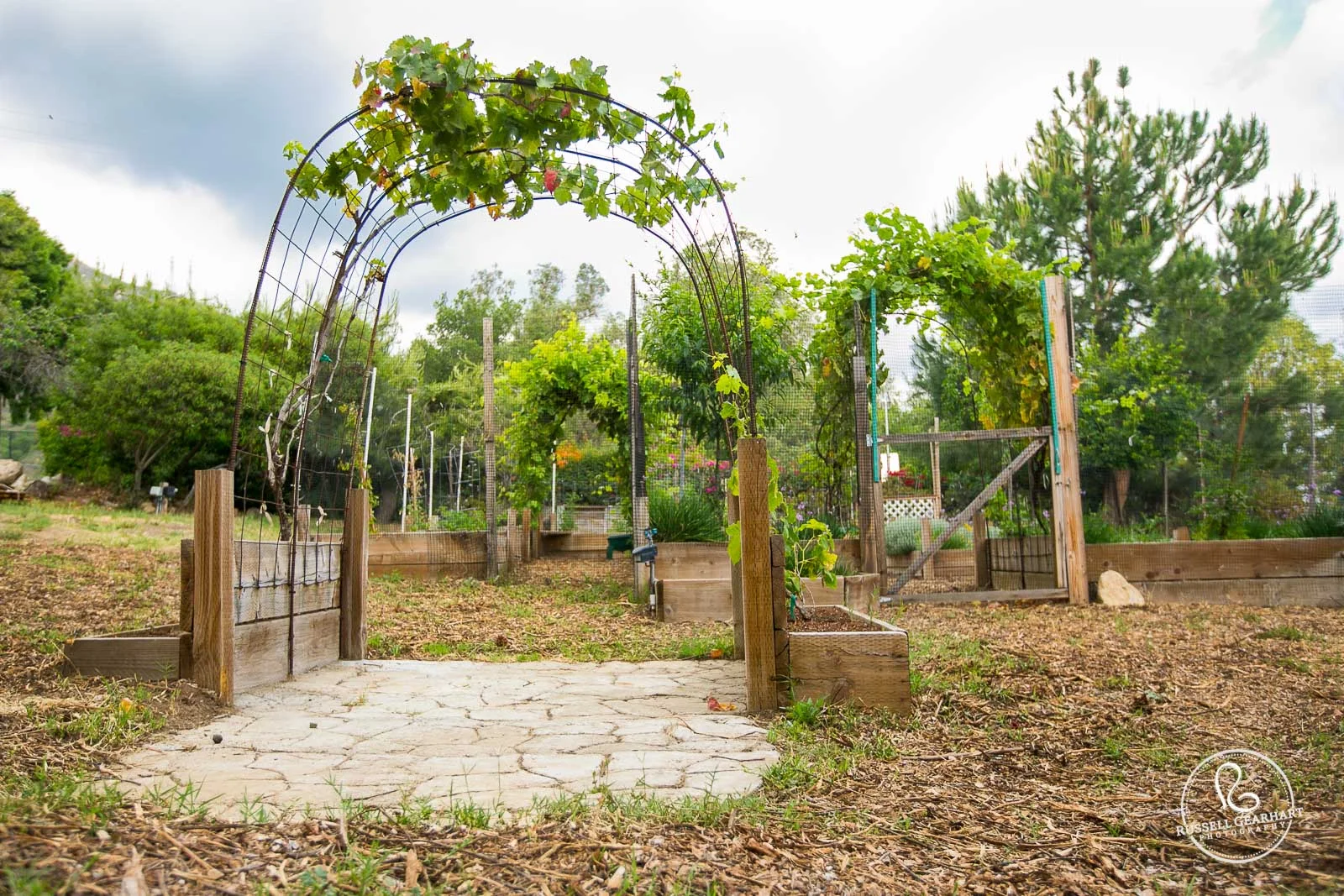 Garden @ Angelus Mountain Center © Russell Gearhart Photography