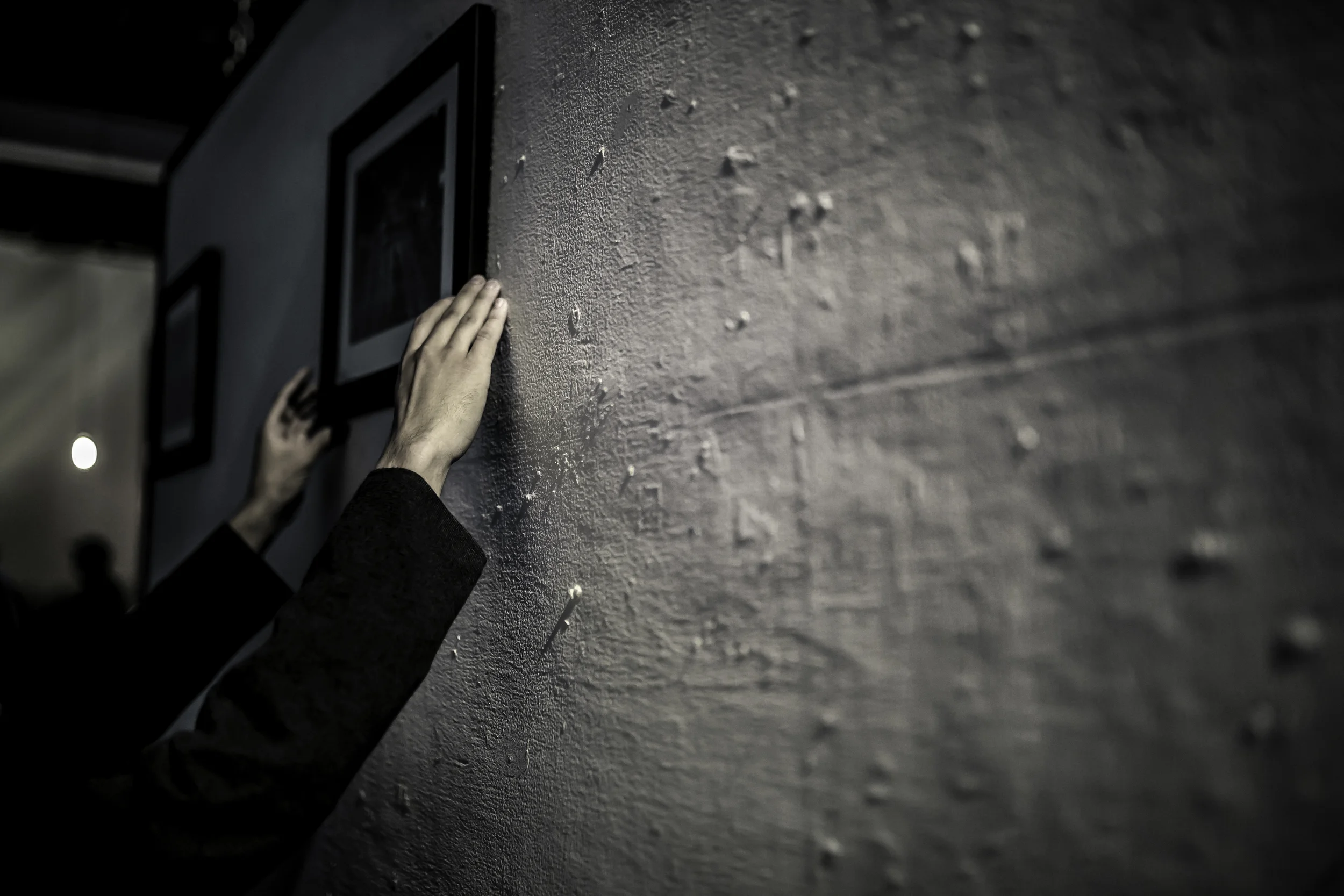 Photos By. Harry Chao ( @lachtype)