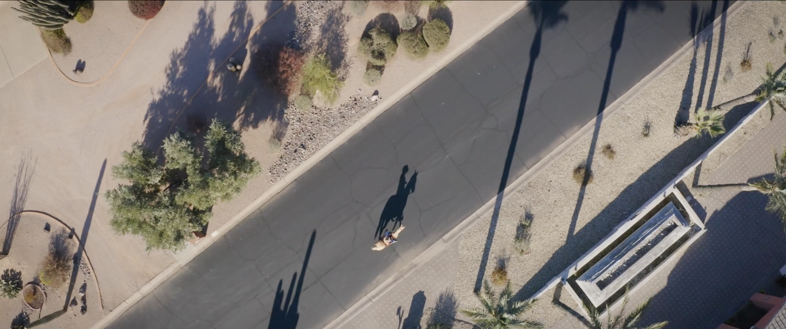 Screen Shot 2020-06-02 at 2.47.49 PM.png