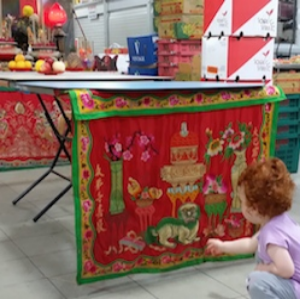 Curious red-head looks at Paipai joss table 