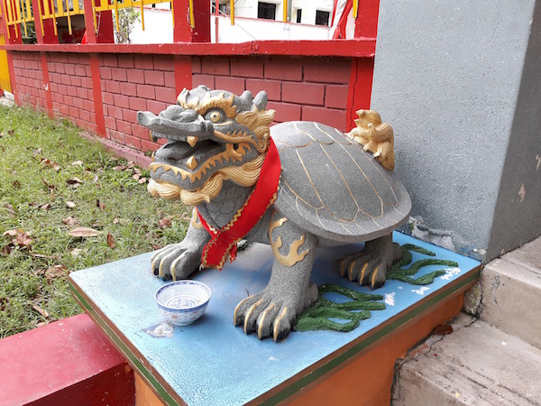Strange looking guardian tortoise? 