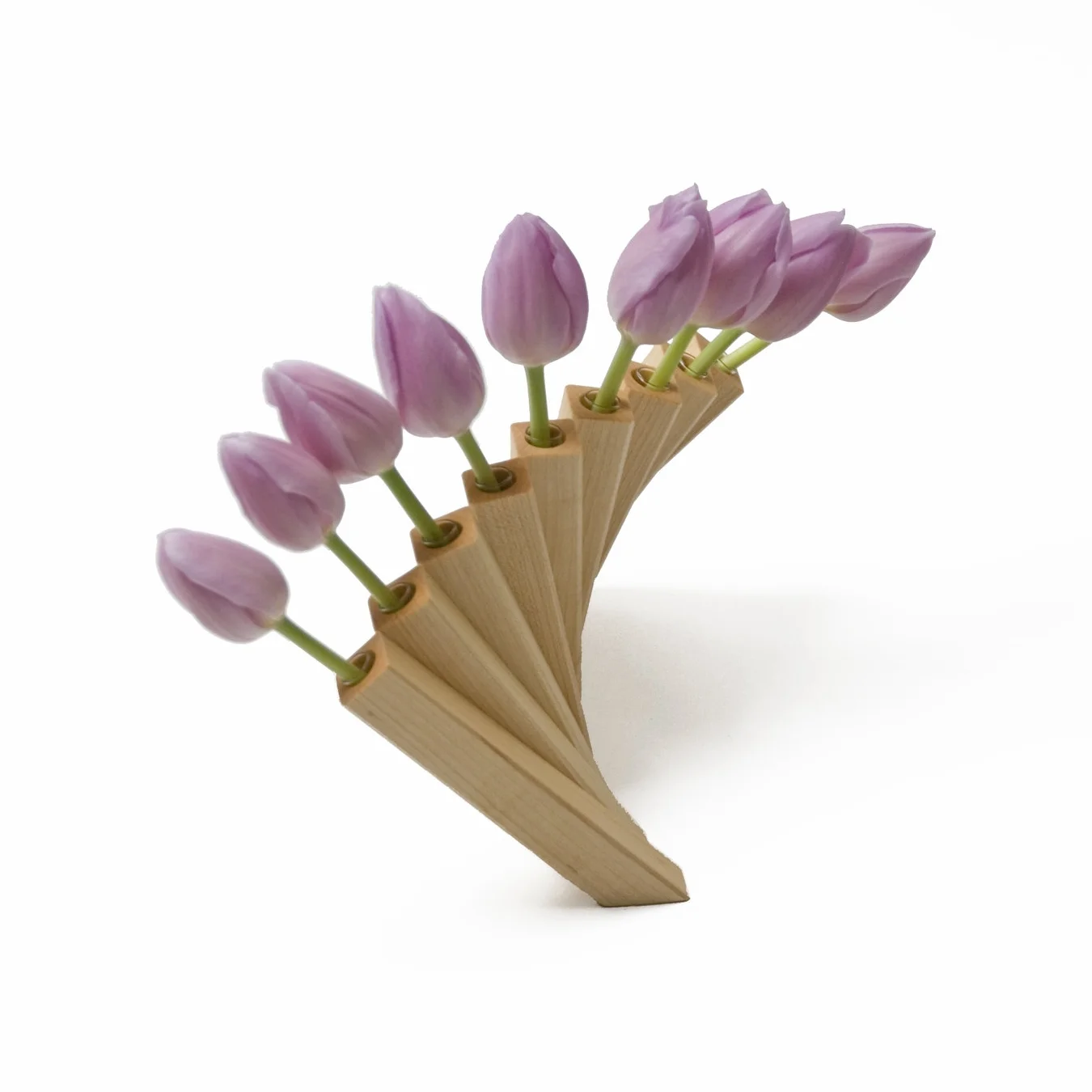 Maple with Lavender Tulips.jpg