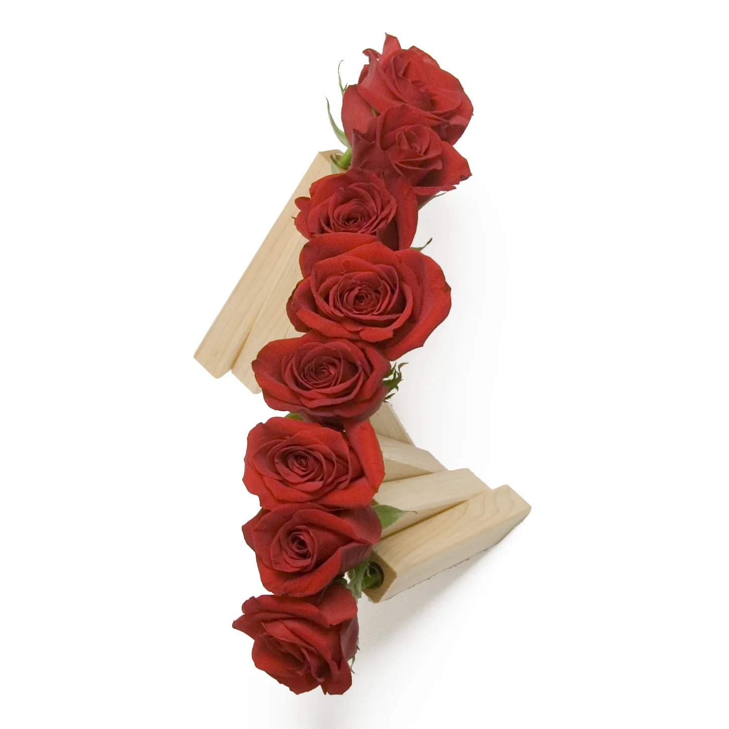 Red Rose Ruffle.jpg