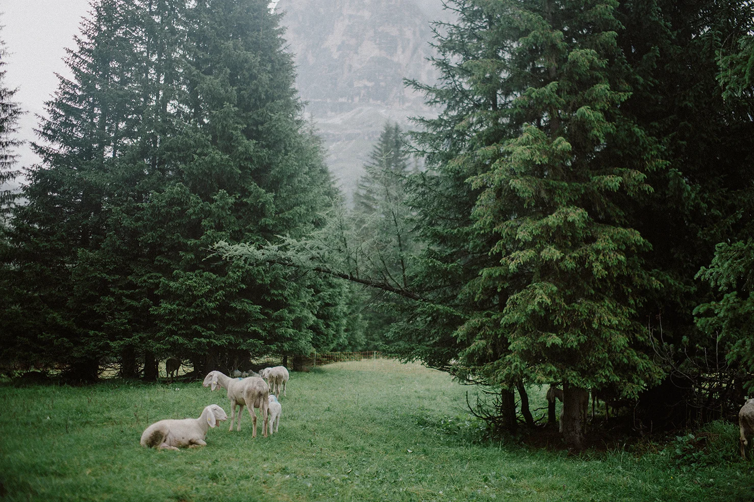 20180722_DOLOMITES-01A_840.jpg