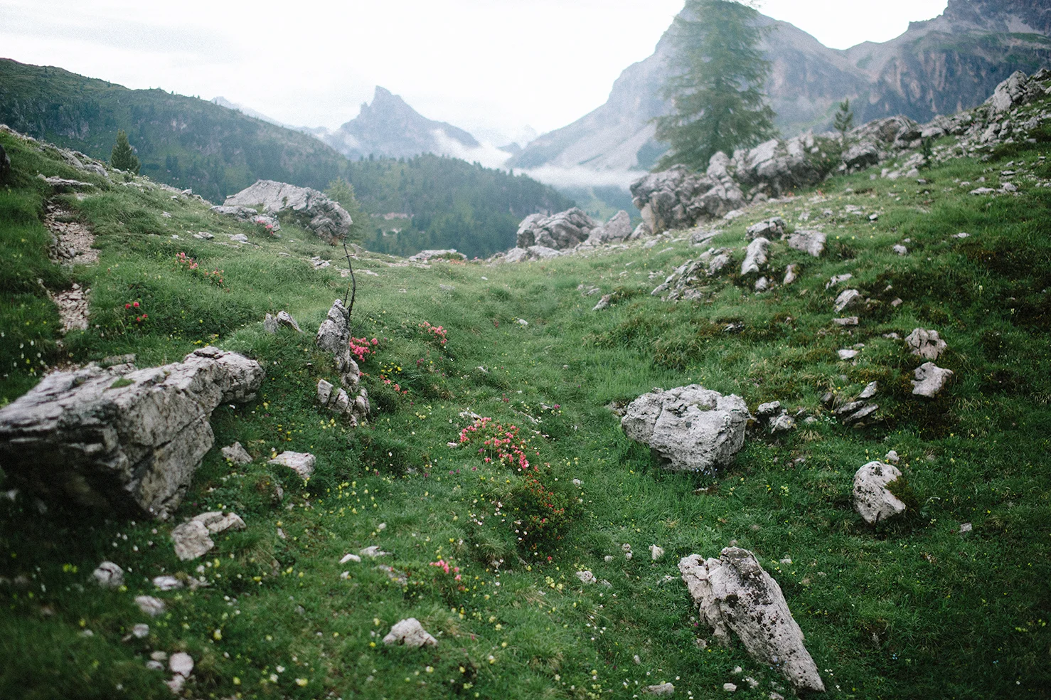 20180722_DOLOMITES-01B_273.jpg