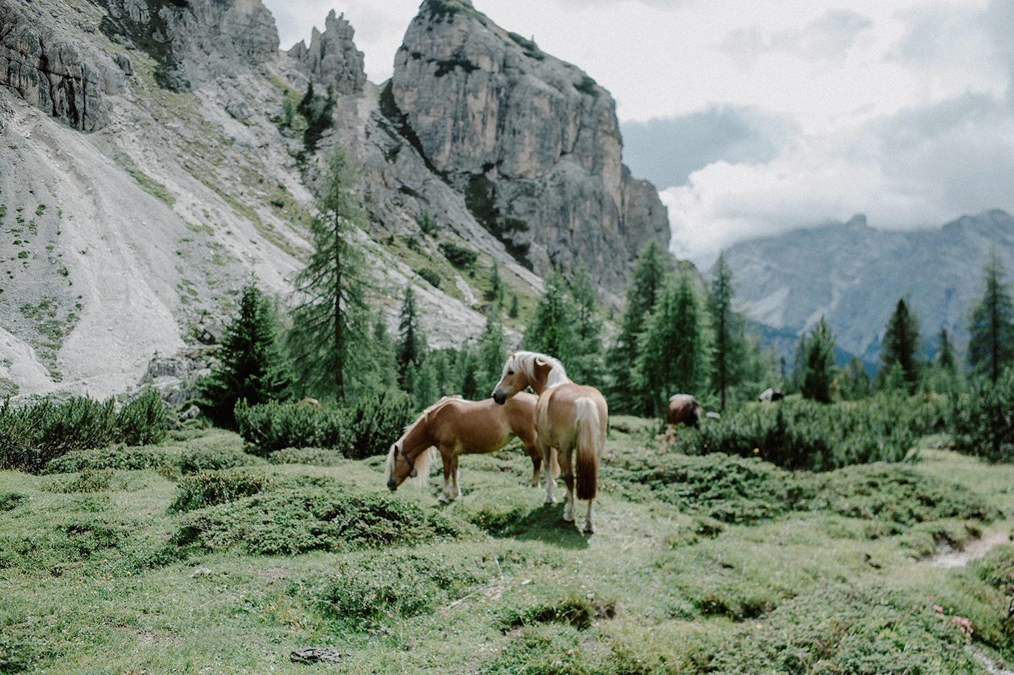 20180723_DOLOMITES-02A_135-(1).jpg