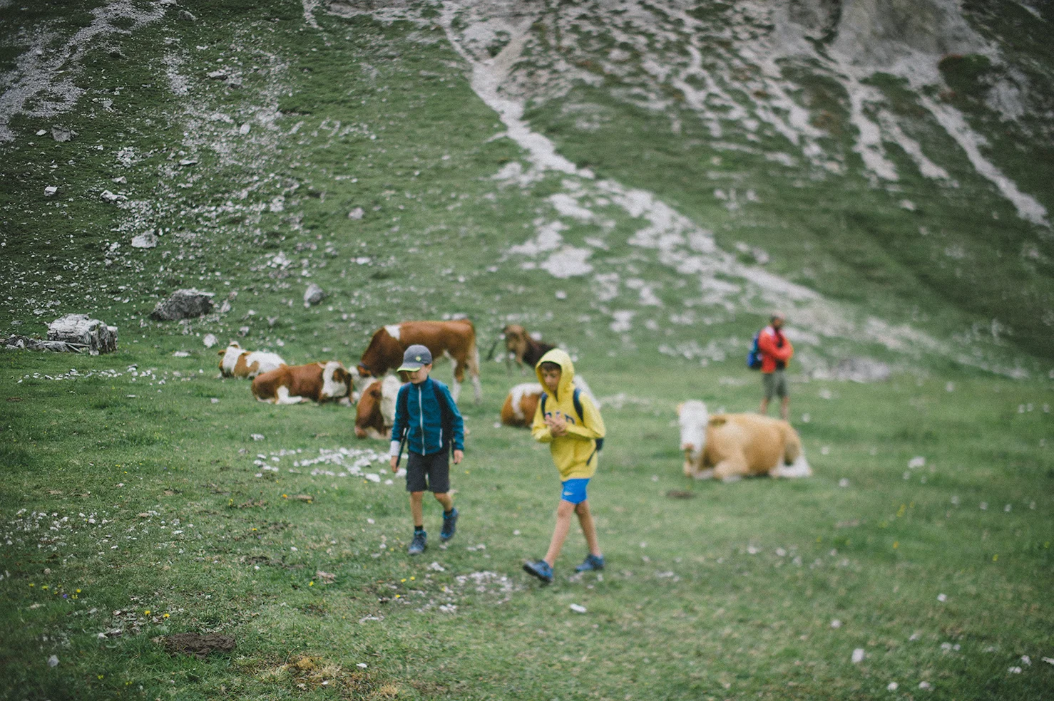 20180723_DOLOMITES-02A_454.jpg