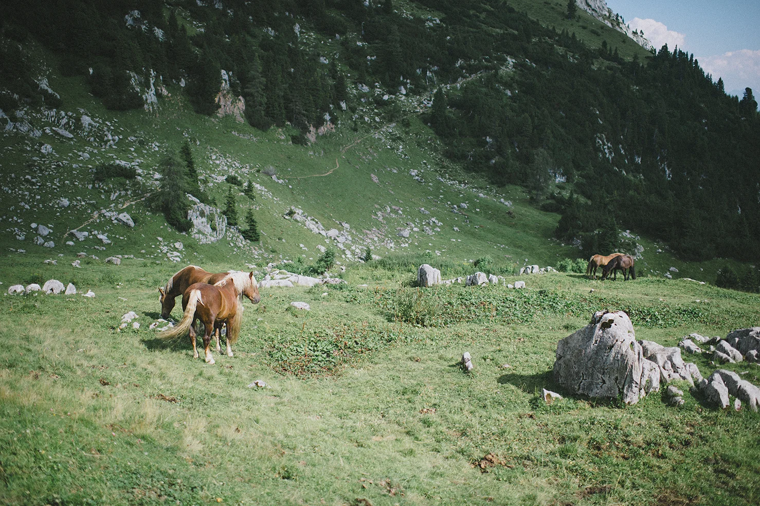 20180724_DOLOMITES-03_258.jpg