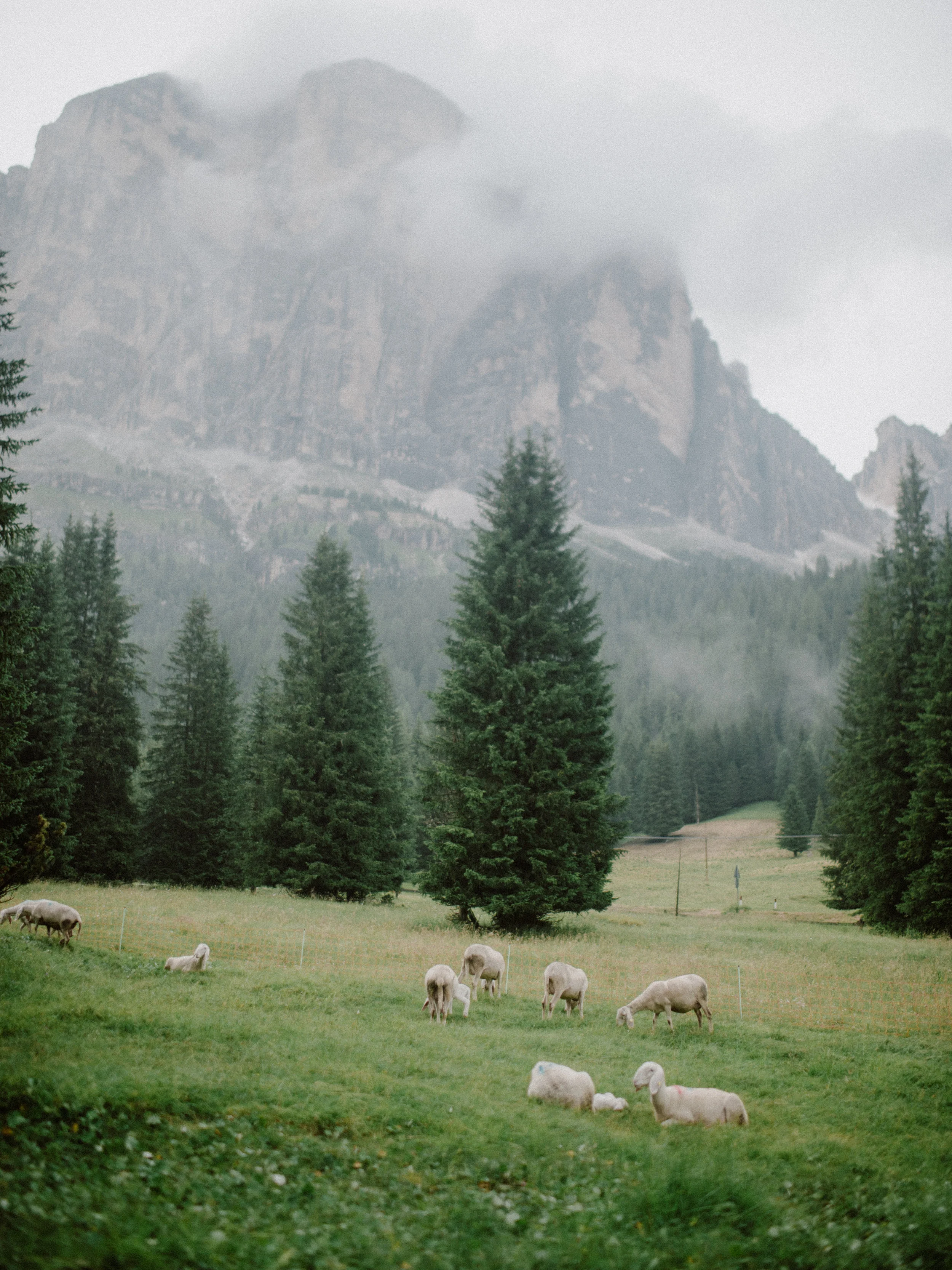 20180722_DOLOMITES-01A_846.jpg