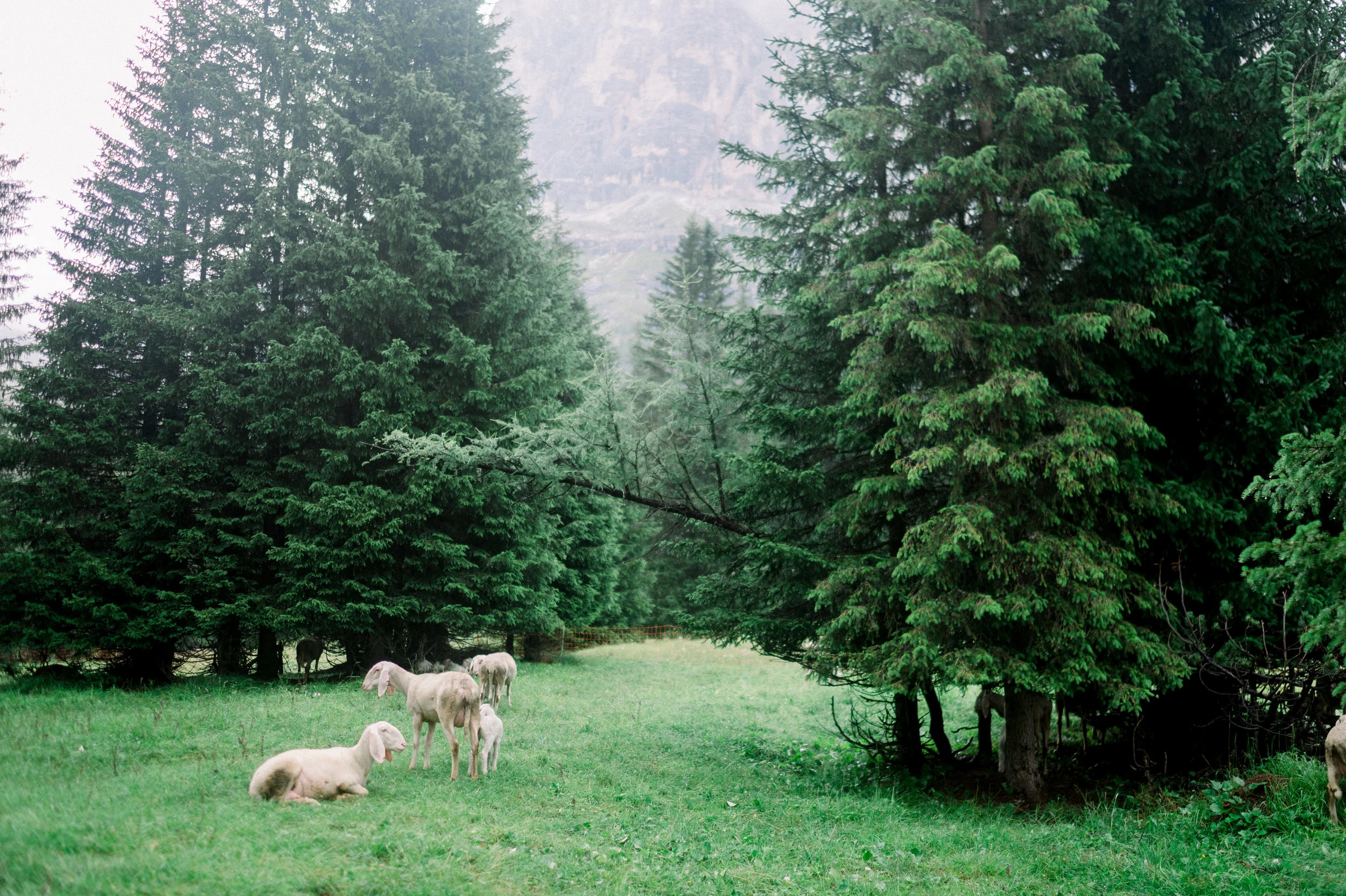 20180722_DOLOMITES-01A_840.jpg