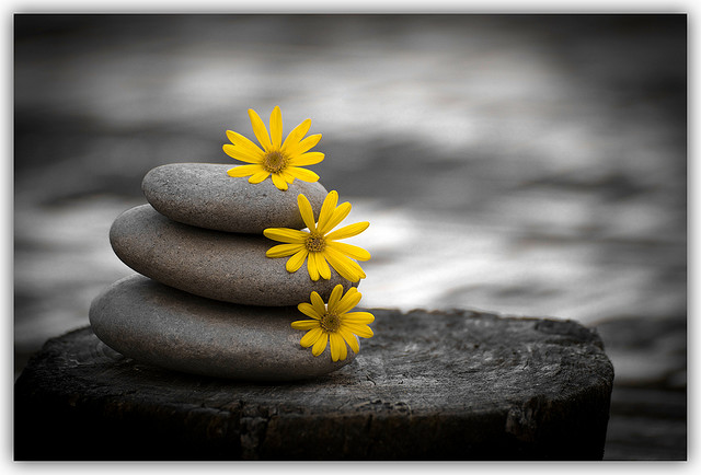 Stones with flowers