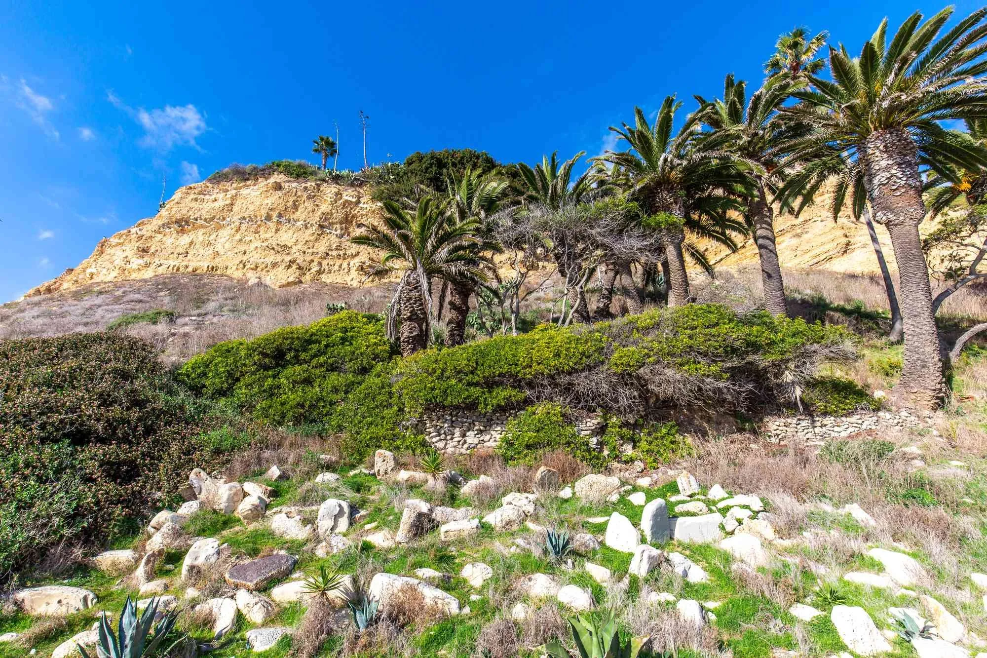 white-point-terranea-point-vincente-prewedding-photo-042.jpg