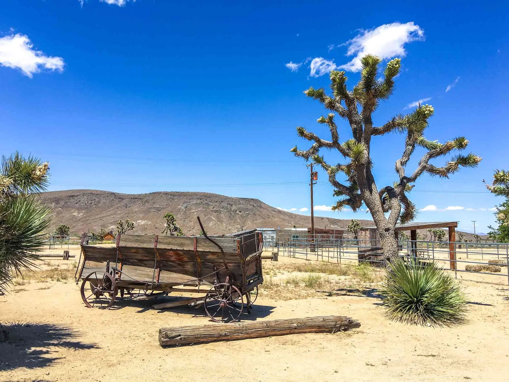 pioneertown-prewedding-joshua-tree-010.jpg