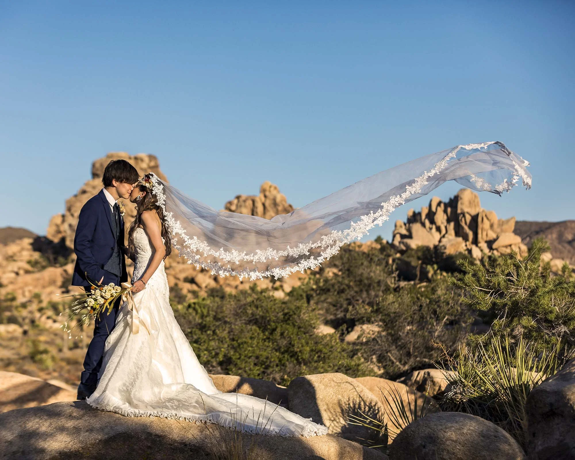 ジョシュアツリー国立公園のウェディング撮影で長いベールをなびかせご主人にキスする奥さま